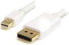 Startech Mini DisplayPort naar DisplayPort 1.2 kabel 2 meter online kopen